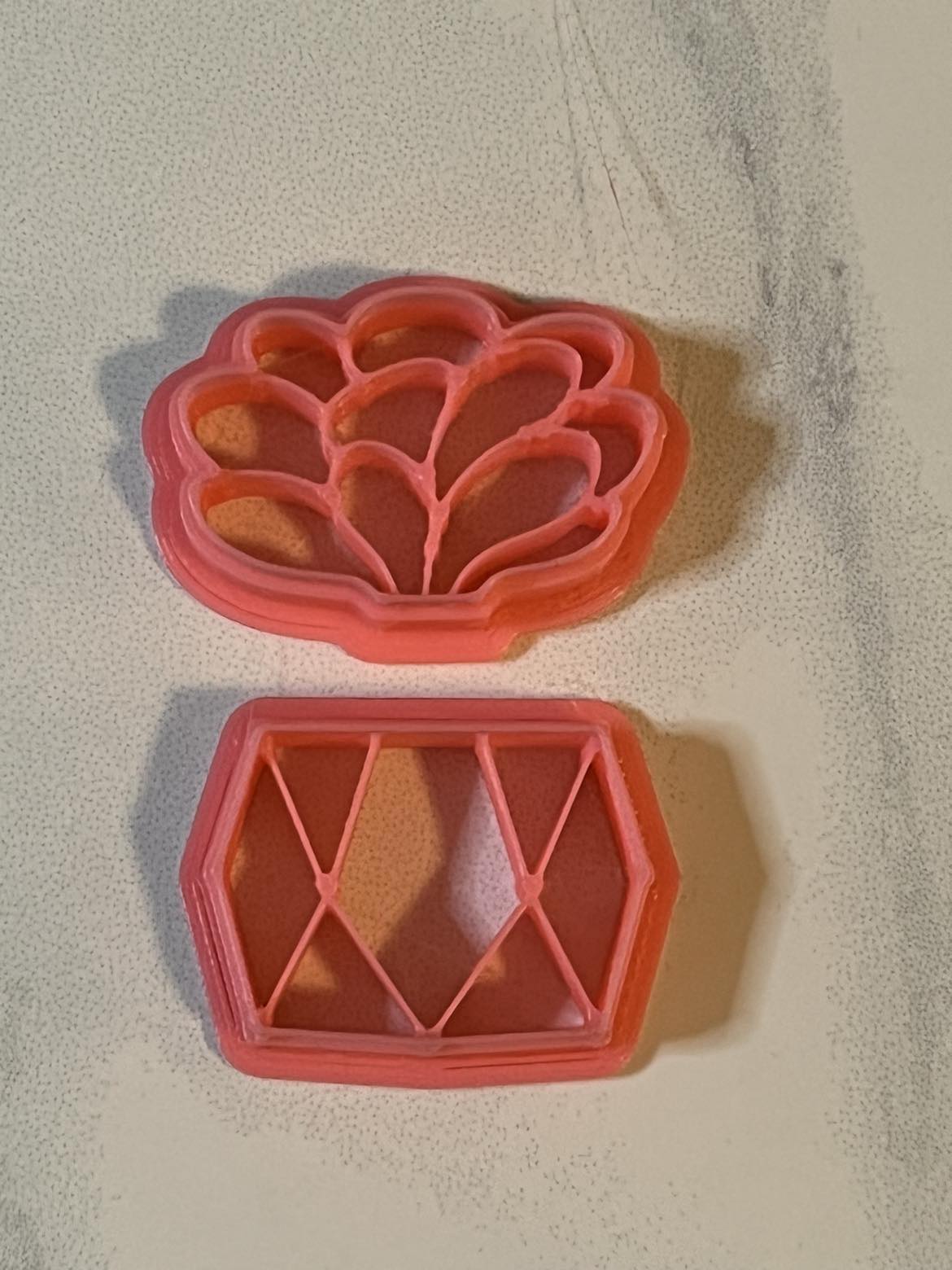 Succulent With Pot Imprints 5 Different Styles