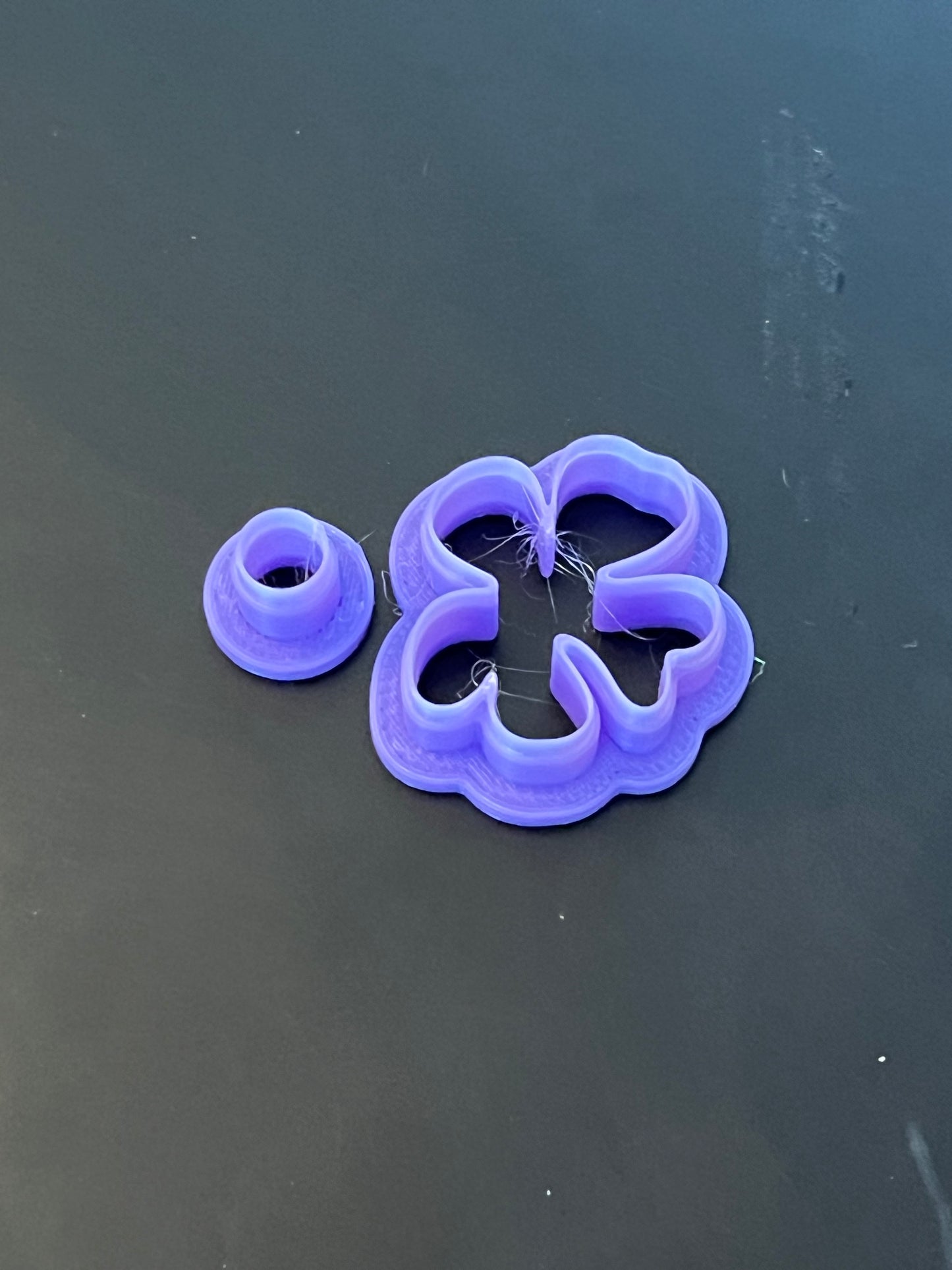 Matisse Flower Mirrored Pairs