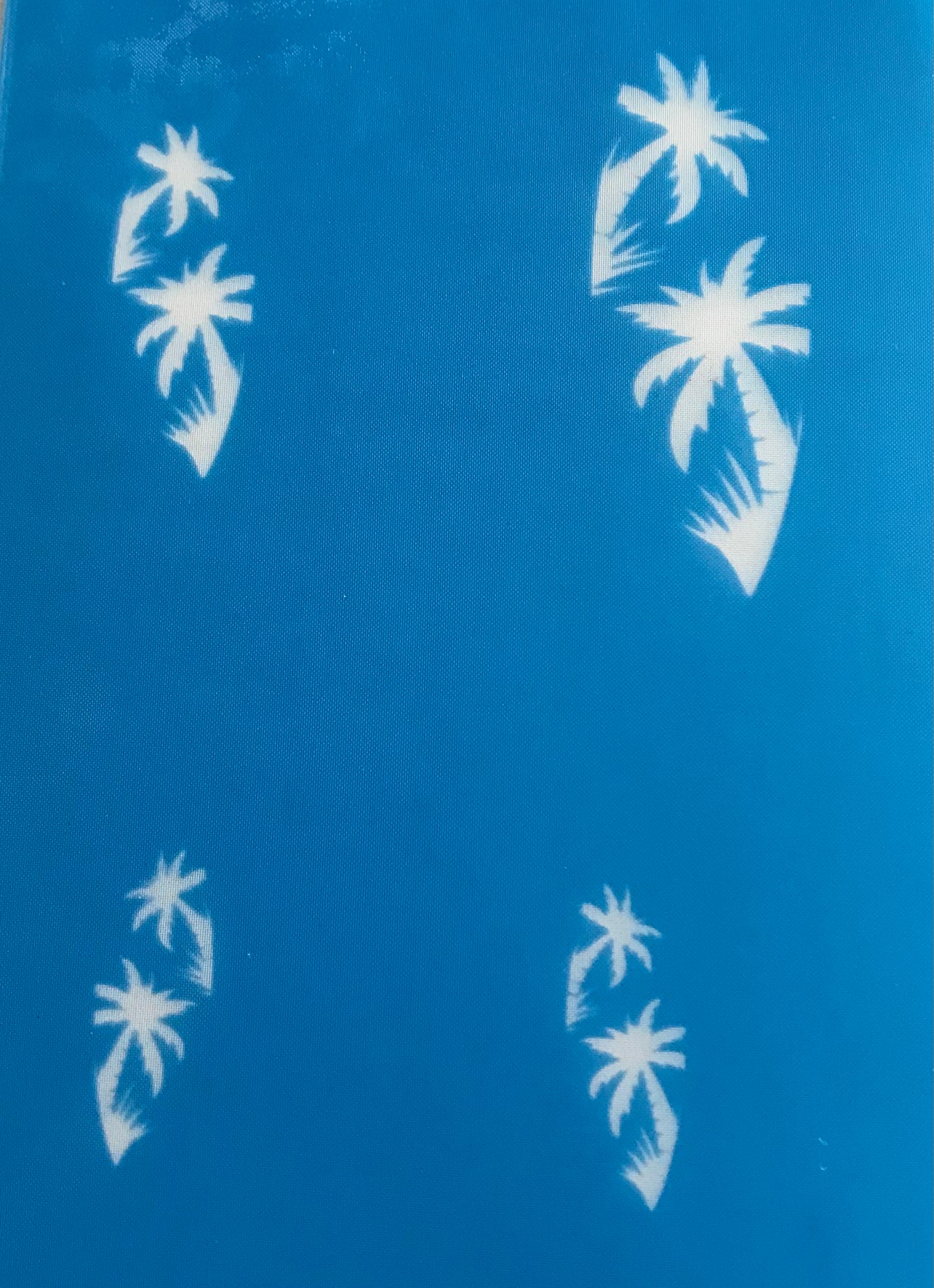 Palm Tree Surf Boards