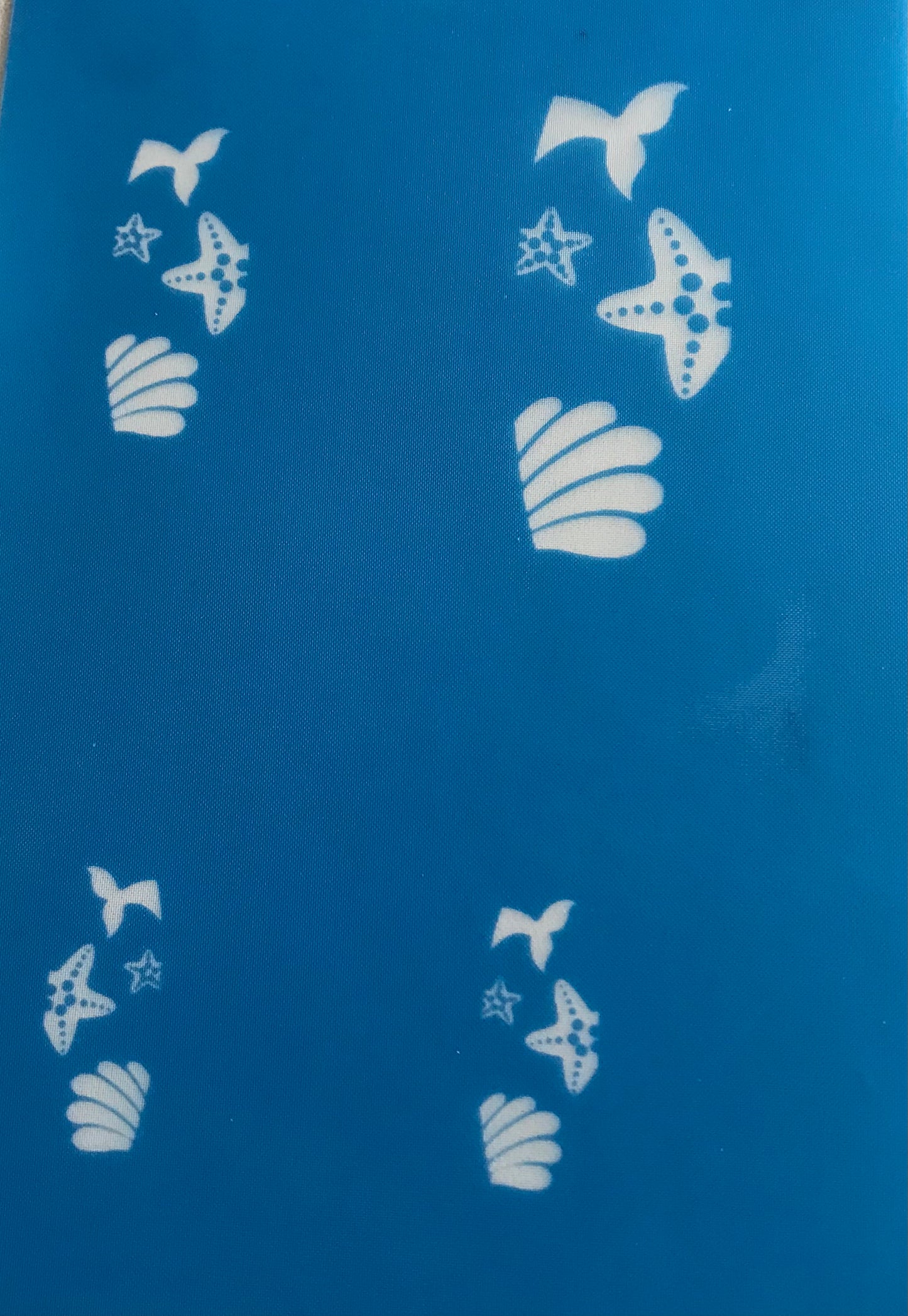 Beach Fun Surf Boards