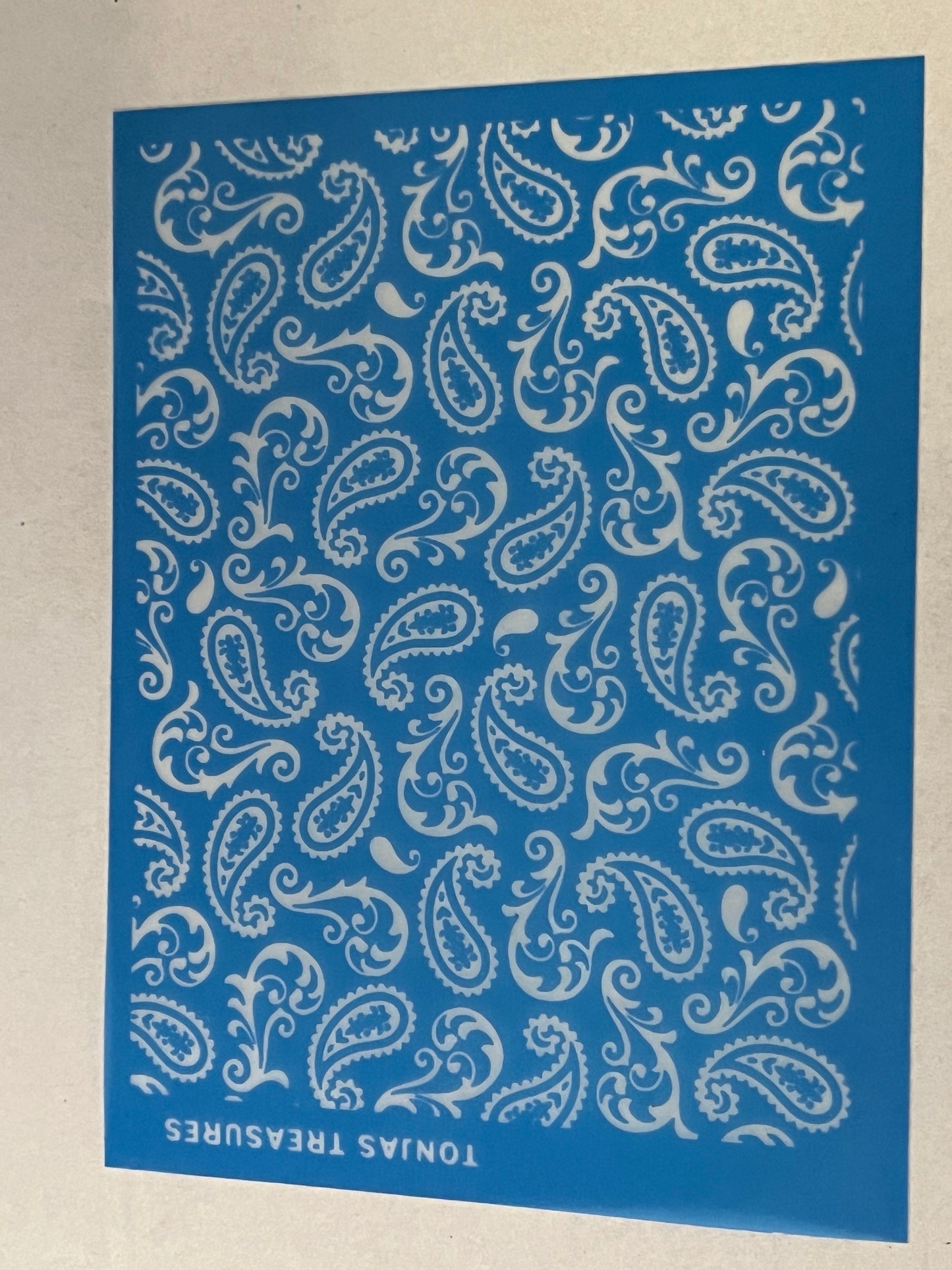 Perfect Paisly Silk Screen