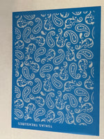 Perfect Paisly Silk Screen