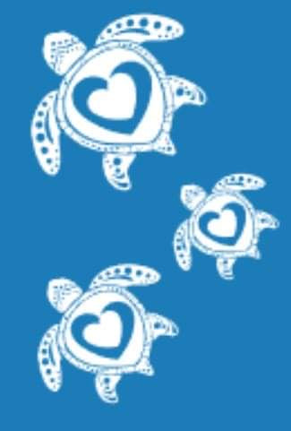 ColorMe 2 Hearts Turtle
