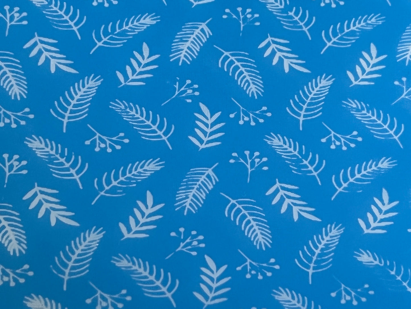 Ferns Screen