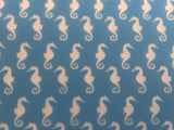 Tiny Seahorse