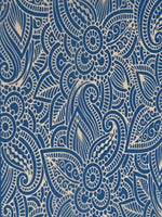 Detailed Paisley