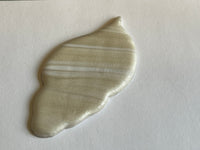 Seashell cutter